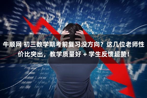 牛顺网 初三数学期考前复习没方向？这几位老师性价比突出，教学质量好 + 学生反馈超赞！