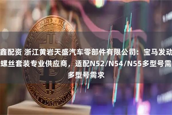 鑫配资 浙江黄岩天盛汽车零部件有限公司：宝马发动机螺丝套装专业供应商，适配N52/N54/N55多型号需求