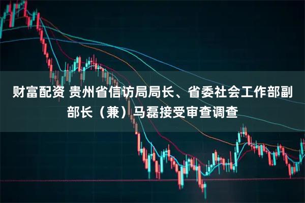 财富配资 贵州省信访局局长、省委社会工作部副部长（兼）马磊接受审查调查